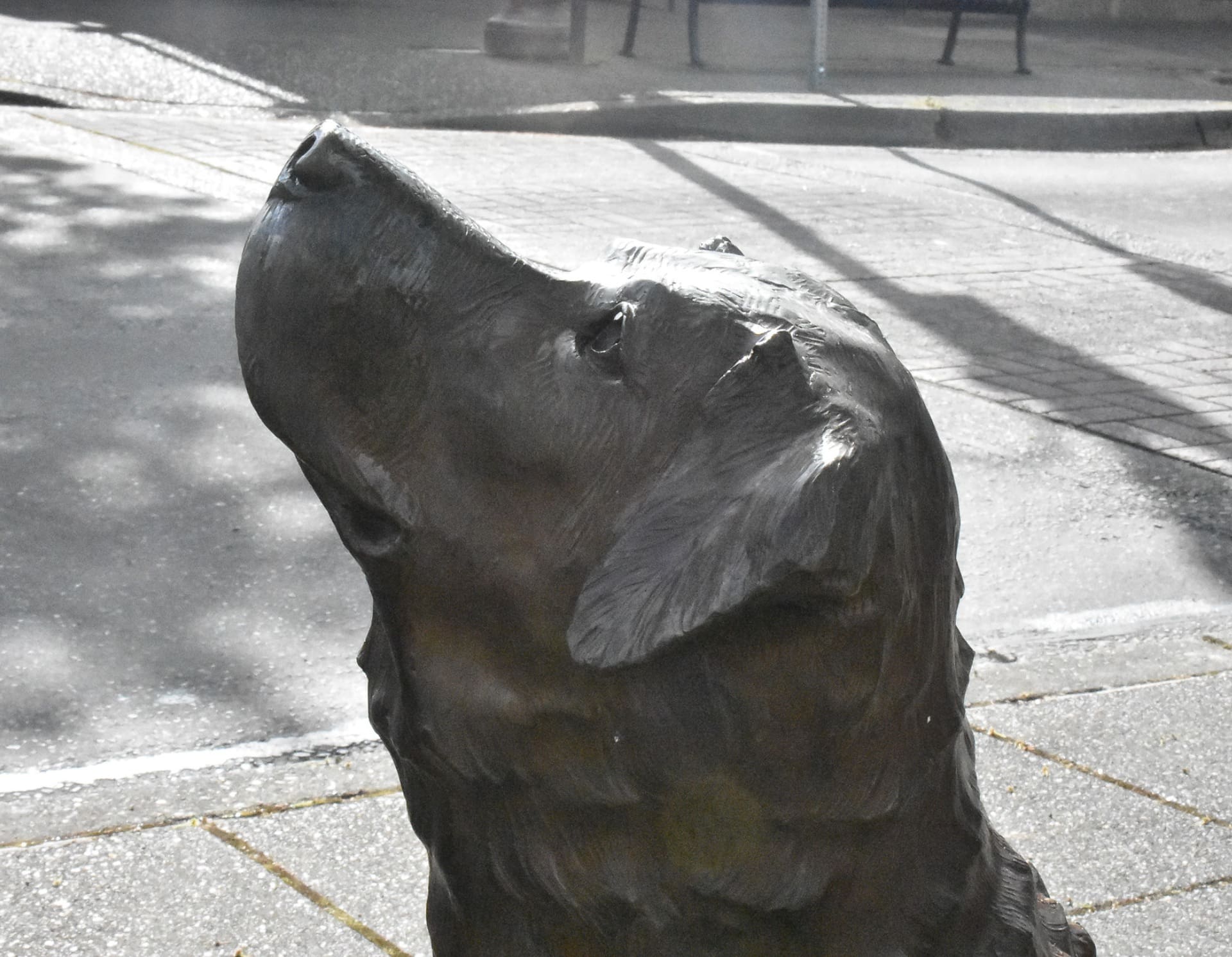 Driscoll dog statue in Gresham Oregon